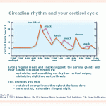 Jet Lag Circadian rythm