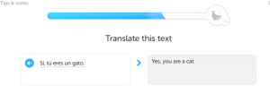 Duolingo has lots of stupid phrases